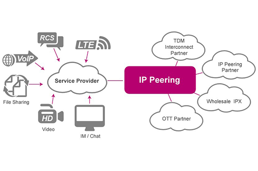 Wholesale VoIP & Carrier Services